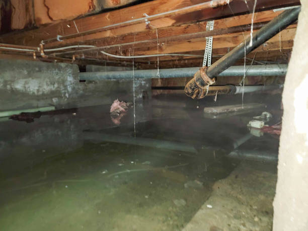  Independence, LA Water damage restoration Pros