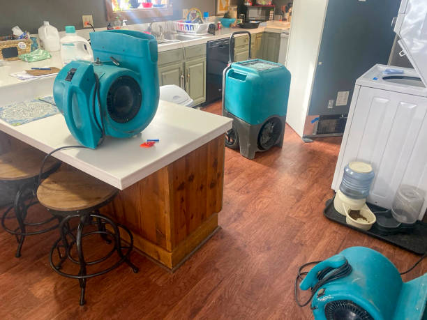 Fire Damage Restoration in Independence, LA