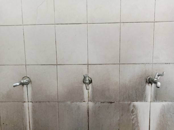 Best Flooded house restoration  in Independence, LA