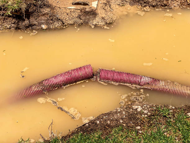 Professional Water damage restoration in Independence, LA